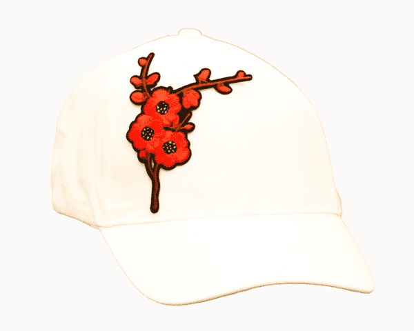 CAP-8848